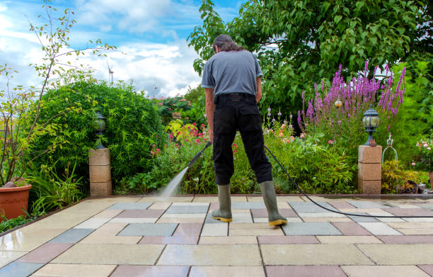 Best Sidewalk and Walkway Pressure Cleaning in Lemmon Valley, NV
